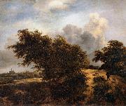 RUISDAEL, Jacob Isaackszon van The Thicket oil